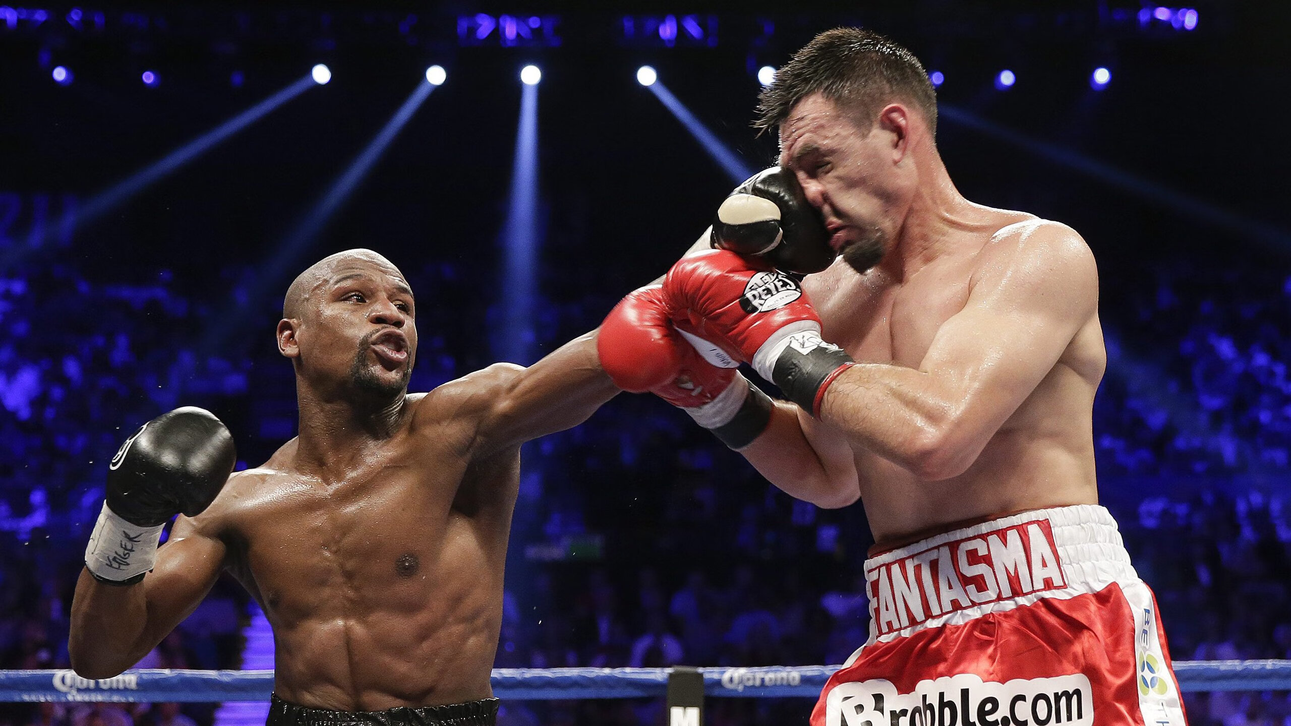 FPX前途光明！，科维托娃新星爆冷表现突出热度持续攀升